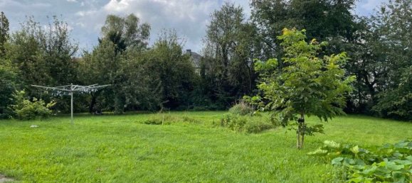 Land in Lippe, Germany No. 233267 2