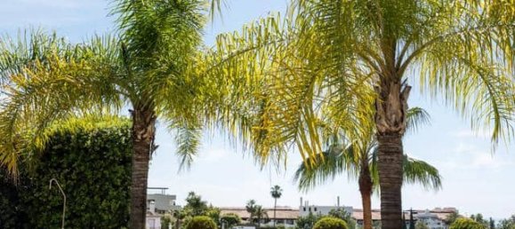 4 bedrooms House in La Quinta, Spain No. 155709 25