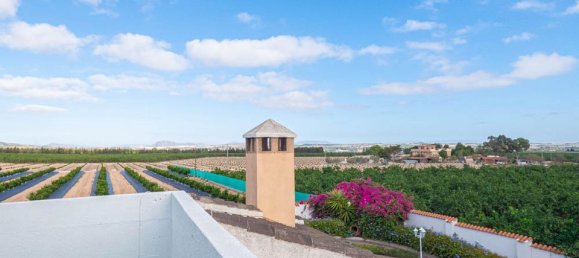 7 bedrooms Villa in San Miguel de Salinas, Spain No. 189245 46