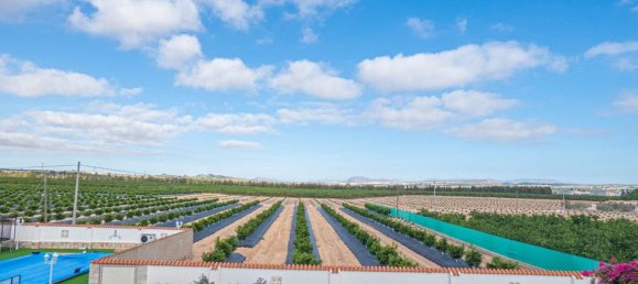 7 bedrooms Villa in San Miguel de Salinas, Spain No. 189245 48