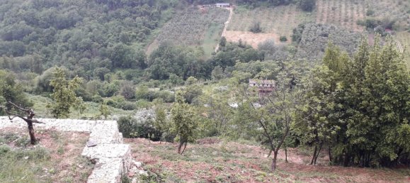  قطعة أرض في Casaprota, Italy 30000متر مربع رقم 256337 4