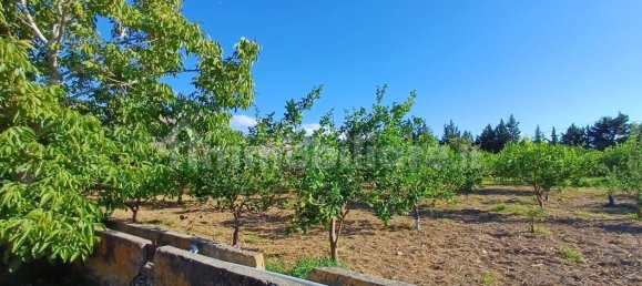 Grundstück in Torrenova, Italy 5152m², Nr. 308276 18