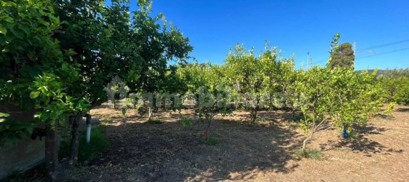 Grundstück in Torrenova, Italy 5152m², Nr. 308276 17