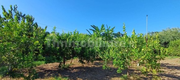 Grundstück in Torrenova, Italy 5152m², Nr. 308276 12