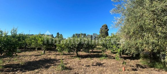 Grundstück in Torrenova, Italy 5152m², Nr. 308276 13