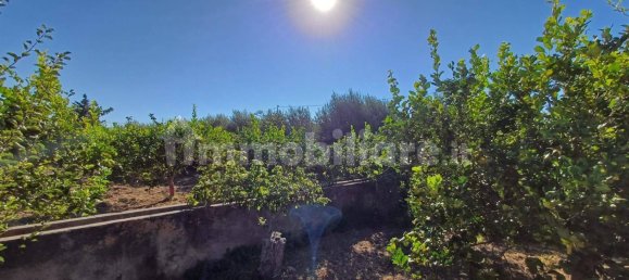 Grundstück in Torrenova, Italy 5152m², Nr. 308276 19