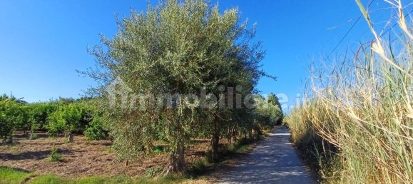 Grundstück in Torrenova, Italy 5152m², Nr. 308276 22