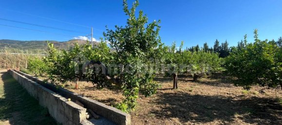 Grundstück in Torrenova, Italy 5152m², Nr. 308276 16