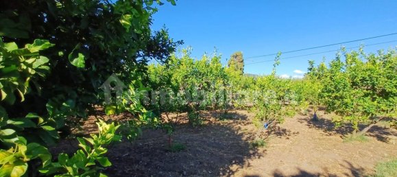 Grundstück in Torrenova, Italy 5152m², Nr. 308276 7