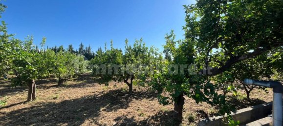 Grundstück in Torrenova, Italy 5152m², Nr. 308276 15