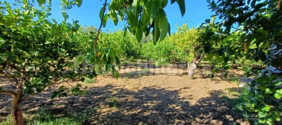 Grundstück in Torrenova, Italy 5152m², Nr. 308276 11