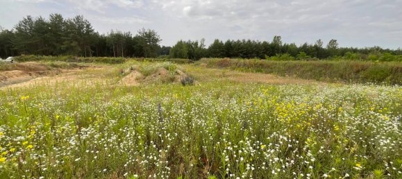  Land in Oder-Spree, Germany No. 79030 3