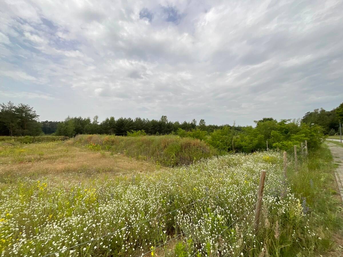  Land in Oder-Spree, Germany No. 79030