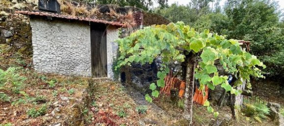 Casa T1 em Valença, Portugal N.º 16183 5