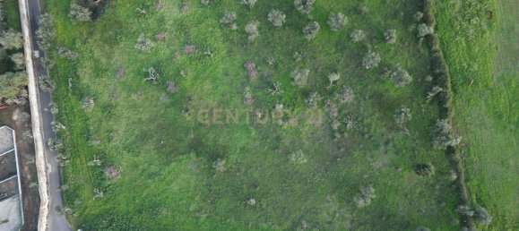  قطعة أرض في Loures, Portugal 8550متر مربع رقم 120040 15