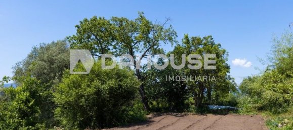 3 Schlafzimmer Haus in Vila Nova de Cerveira, Portugal, Nr. 67119 7