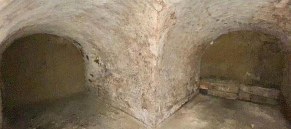 4 rooms House in Rabensburg, Austria No. 81190 19