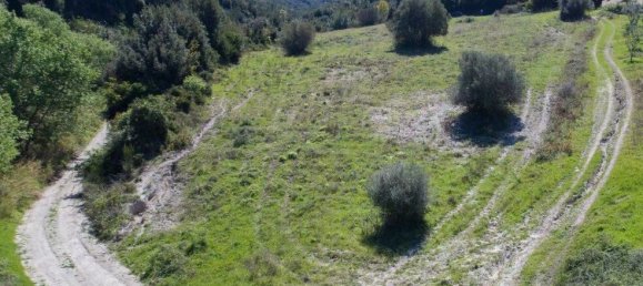 6080m² Hotel in Chalkidiki, Greece No. 8079 5