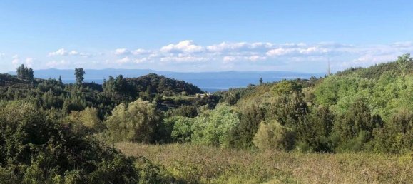 6080m² Hotel in Chalkidiki, Greece No. 8079 9