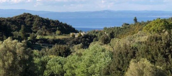 6080m² Hotel in Chalkidiki, Greece No. 8079 8