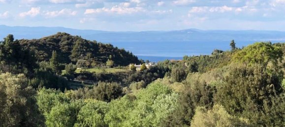 6080m² Hotel in Chalkidiki, Greece No. 8079 10