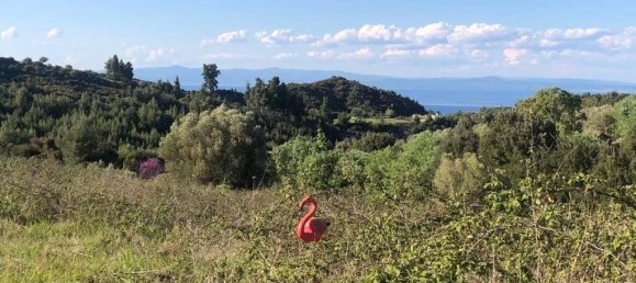 6080m² Hotel in Chalkidiki, Greece No. 8079 6