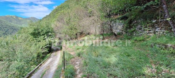 Villa de 3 dormitorios en Bargagli, Italy No. 11107 55