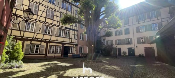 Apartamento de 1 dormitorio en Strasbourg, France No. 49191 8