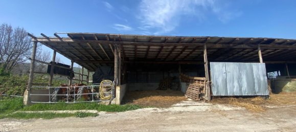 120000m² Land in Medesano, Italy No. 74877 13