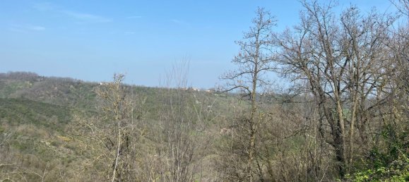 120000m² Land in Medesano, Italy No. 74877 2