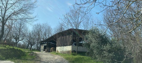 120000m² Land in Medesano, Italy No. 74877 16