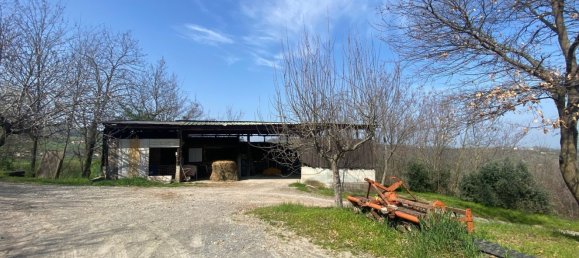120000m² Land in Medesano, Italy No. 74877 18