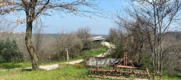 120000m² Land in Medesano, Italy No. 74877 19