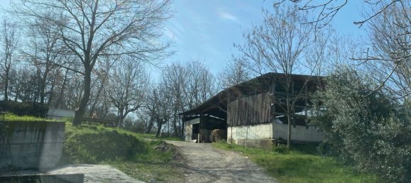 120000m² Land in Medesano, Italy No. 74877 17