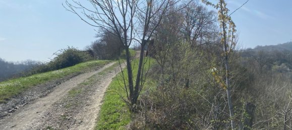 120000m² Land in Medesano, Italy No. 74877 6