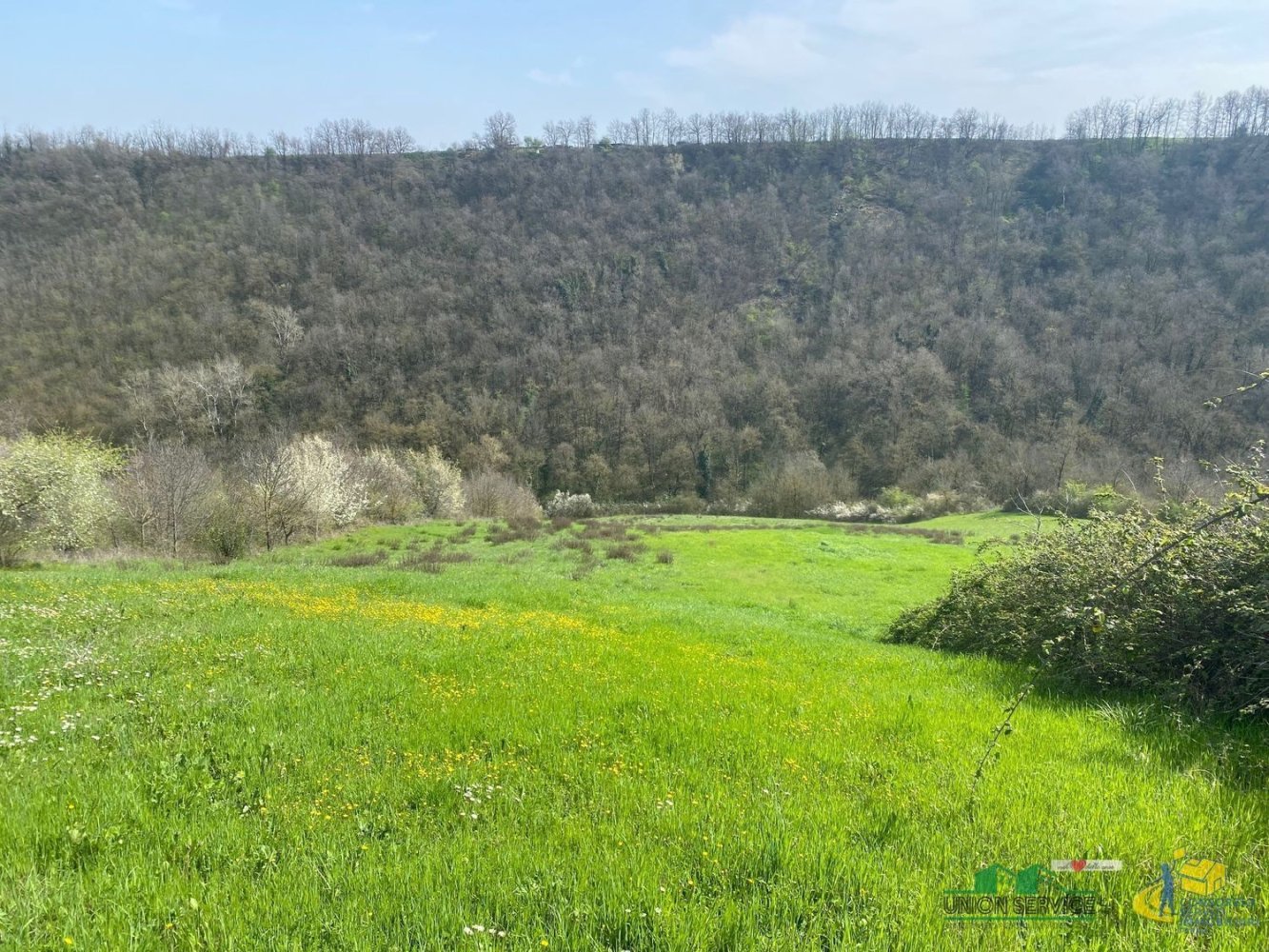 120000m² Land in Medesano, Italy No. 74877