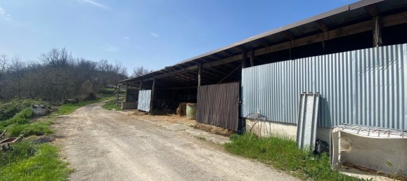 120000m² Land in Medesano, Italy No. 74877 10