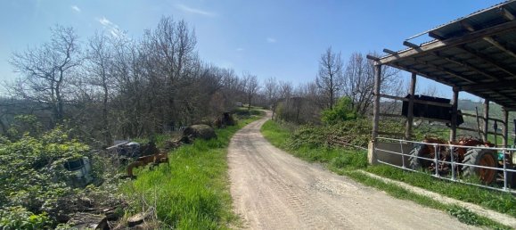 120000m² Land in Medesano, Italy No. 74877 15