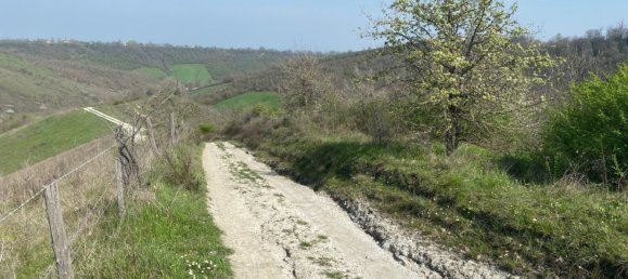 120000m² Land in Medesano, Italy No. 74877 5