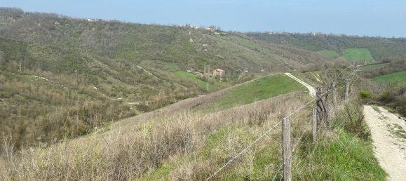 120000m² Land in Medesano, Italy No. 74877 4