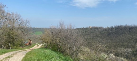 120000m² Land in Medesano, Italy No. 74877 3