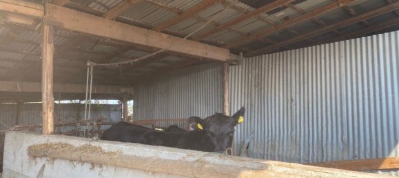 120000m² Land in Medesano, Italy No. 74877 12