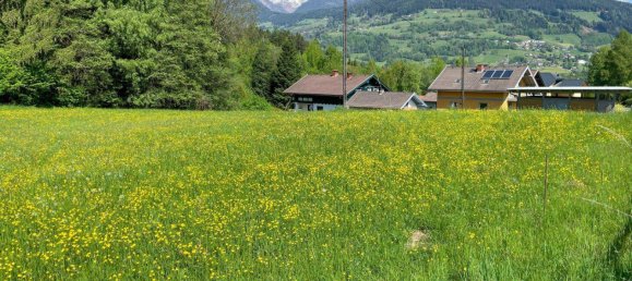 Terrain à Seeboden am Millstatter See, Austria No. 21547 7