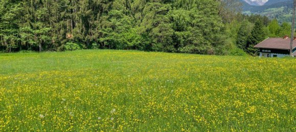 Terrain à Seeboden am Millstatter See, Austria No. 21547 3