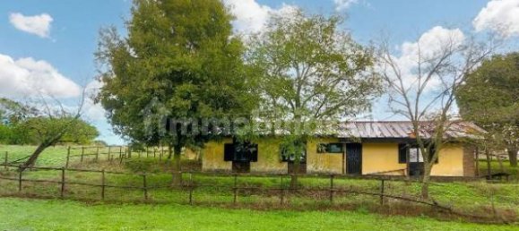 Casa de 5 divisões em Anguillara Sabazia, Italy N.º 345875 7