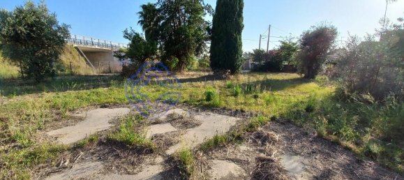 1650m² Land in Tomar, Portugal No. 79614 4