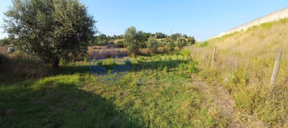1650m² Land in Tomar, Portugal No. 79614 6