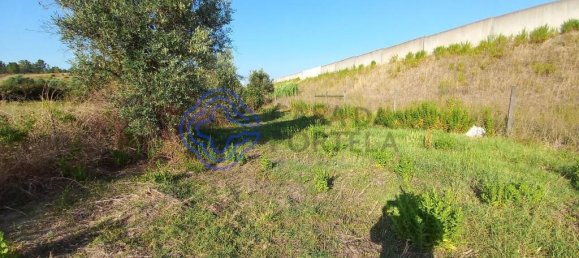 1650m² Land in Tomar, Portugal No. 79614 12