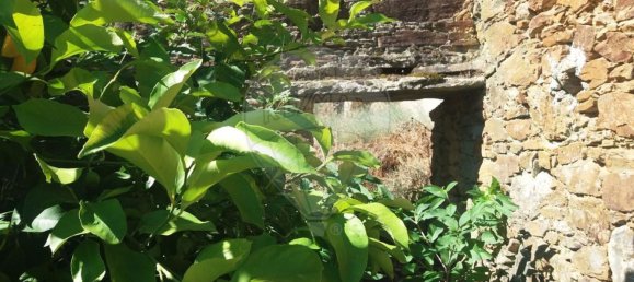 Дом с 1 спальней в Монтеш да Сеньора, Португалия № 175136 8