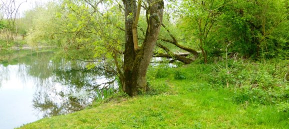 4 Schlafzimmer Haus in Nargis, France, Nr. 92541 15